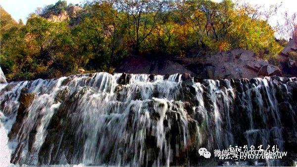 “天府粮仓”稻田美学教育基地揭牌开启现代农业美学新篇章